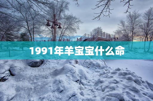 1991年羊宝宝什么命