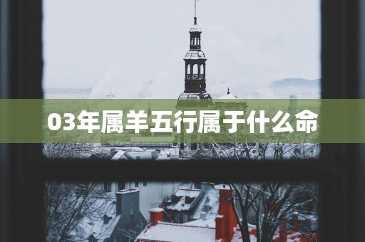 03年属羊五行属于什么命