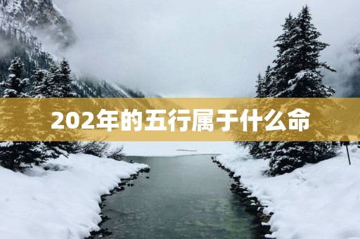 202年的五行属于什么命
