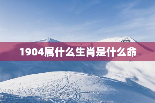 1904属什么生肖是什么命
