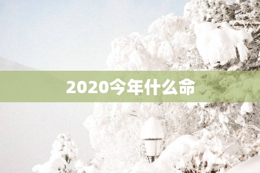 2025今年什么命
