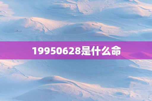 19950628是什么命