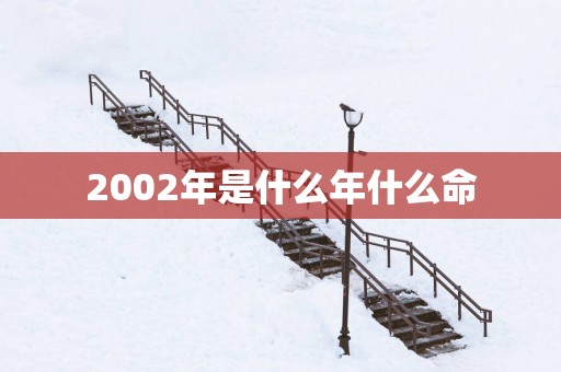2002年是什么年什么命