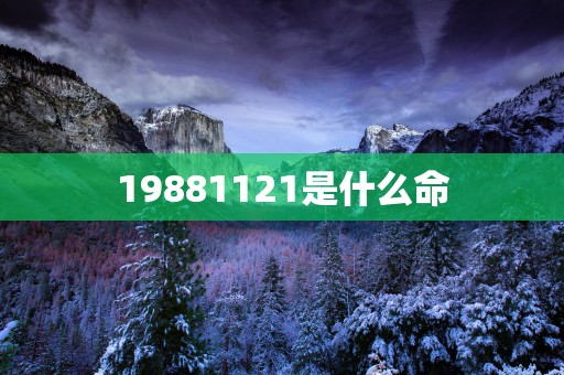 19881121是什么命