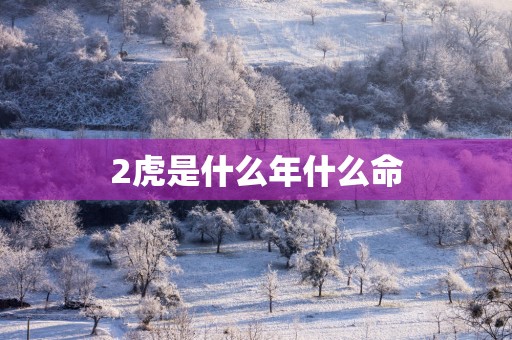 2虎是什么年什么命