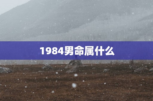 1984男命属什么