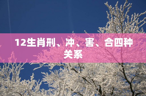 12生肖刑、冲、害、合四种关系