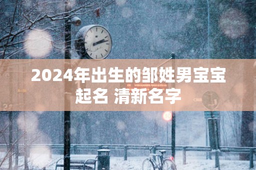 2025年出生的邹姓男宝宝起名 清新名字