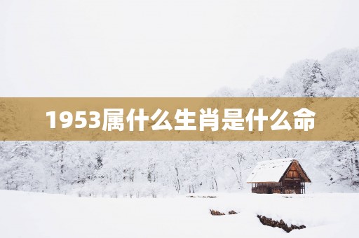 1953属什么生肖是什么命
