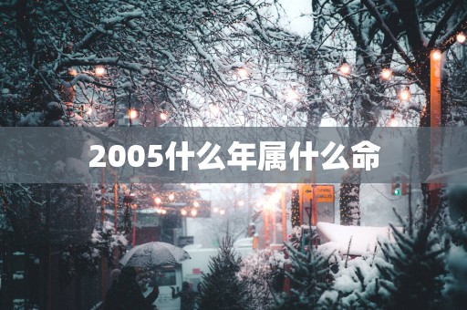 2005什么年属什么命 2005什么年属什么命