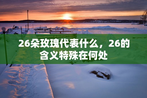26朵玫瑰代表什么，26的含义特殊在何处