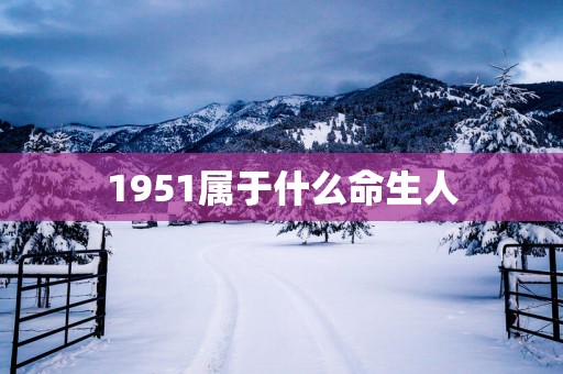 1951属于什么命生人