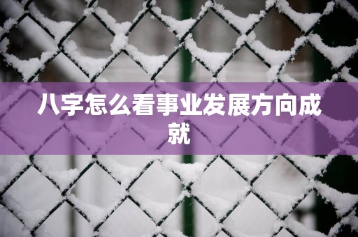 八字怎么看事业发展方向成就