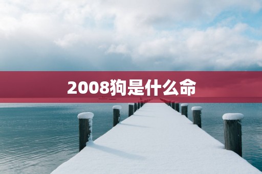 2008狗是什么命