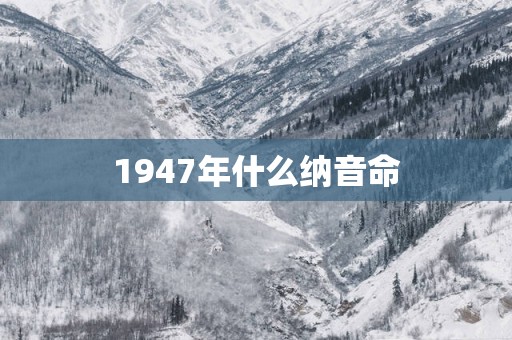 1947年什么纳音命