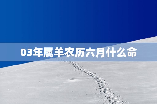 03年属羊农历六月什么命