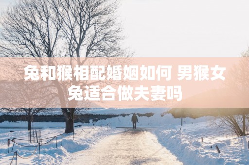 兔和猴相配婚姻如何 男猴女兔适合做夫妻吗