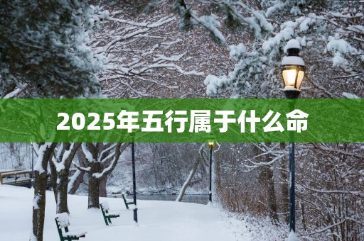 2025年五行属于什么命