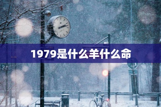 1979是什么羊什么命