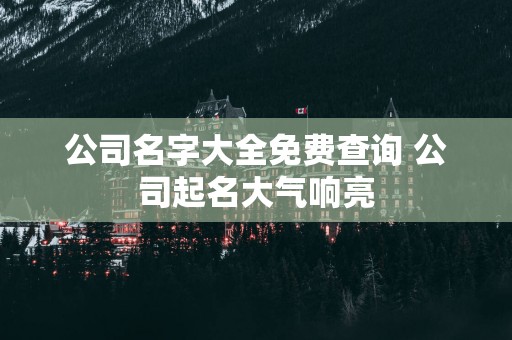 公司名字大全免费查询 公司起名大气响亮