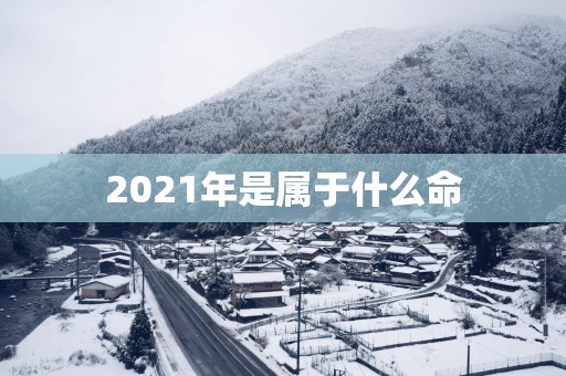 2025年是属于什么命