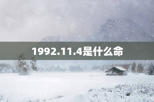 1992.11.4是什么命