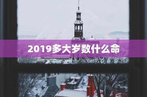 2019多大岁数什么命