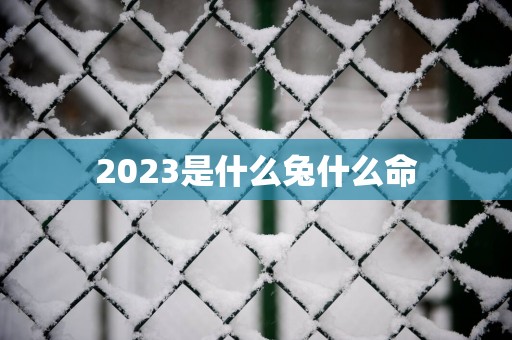 2025是什么兔什么命