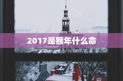 2017是猴年什么命