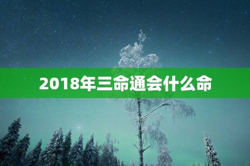 2018年三命通会什么命