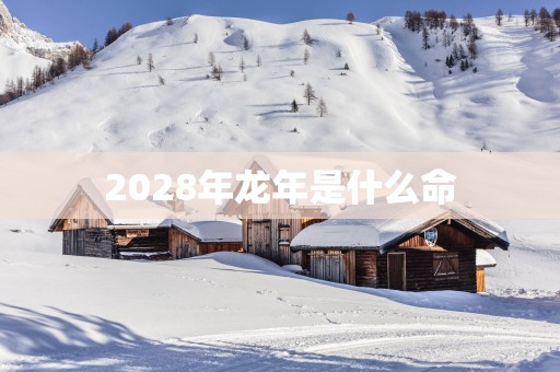 2028年蛇年是什么命