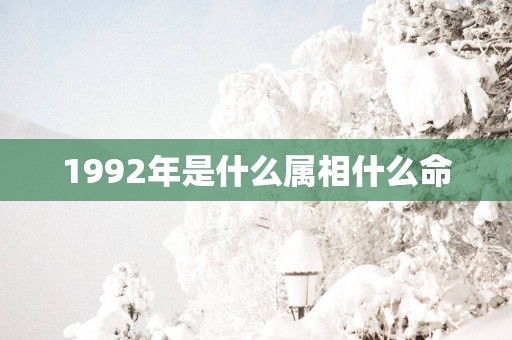 1992年是什么属相什么命