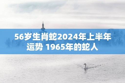 56岁生肖蛇2025年上半年运势 1965年的蛇人