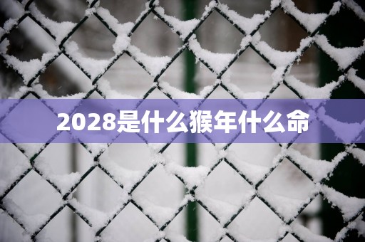 2028是什么猴年什么命