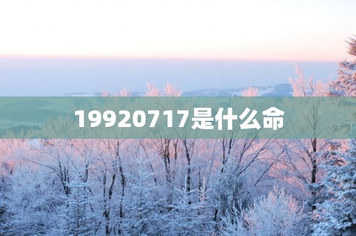 19920717是什么命