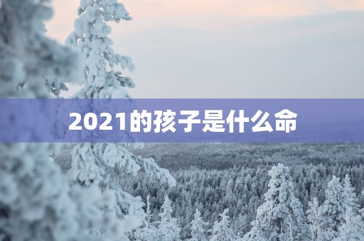 2025的孩子是什么命