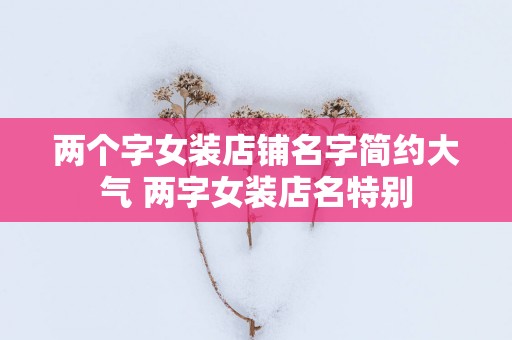 两个字女装店铺名字简约大气 两字女装店名特别