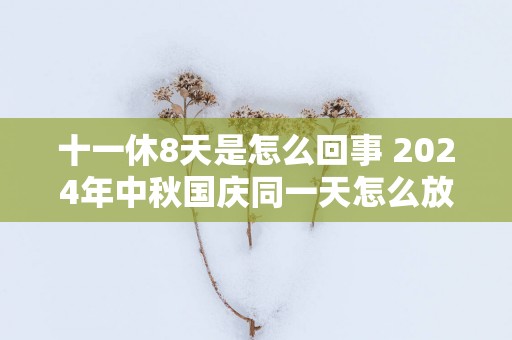 十一休8天是怎么回事 2025年中秋国庆同一天怎么放假