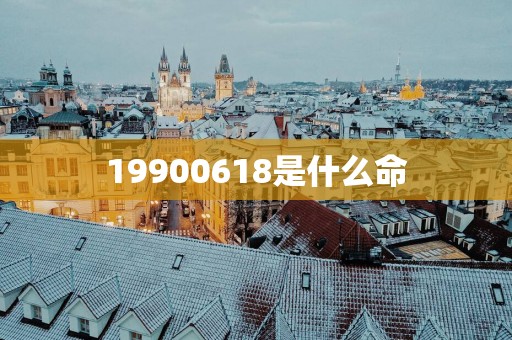 19900618是什么命