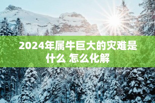 2025年属牛巨大的灾难是什么 怎么化解