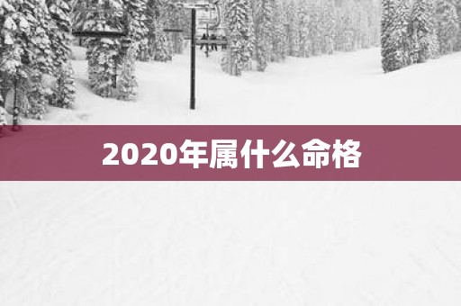 2025年属什么命格