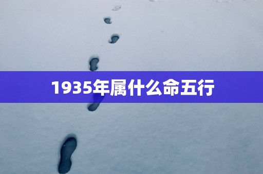 1935年属什么命五行