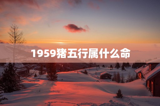 1959猪五行属什么命
