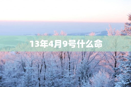 13年4月9号什么命