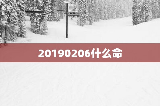 20190206什么命