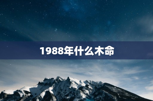 1988年什么木命