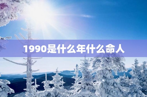 1990是什么年什么命人