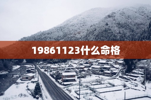 19861123什么命格