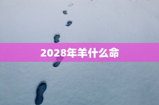 2028年羊什么命