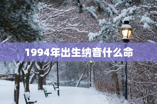 1994年出生纳音什么命